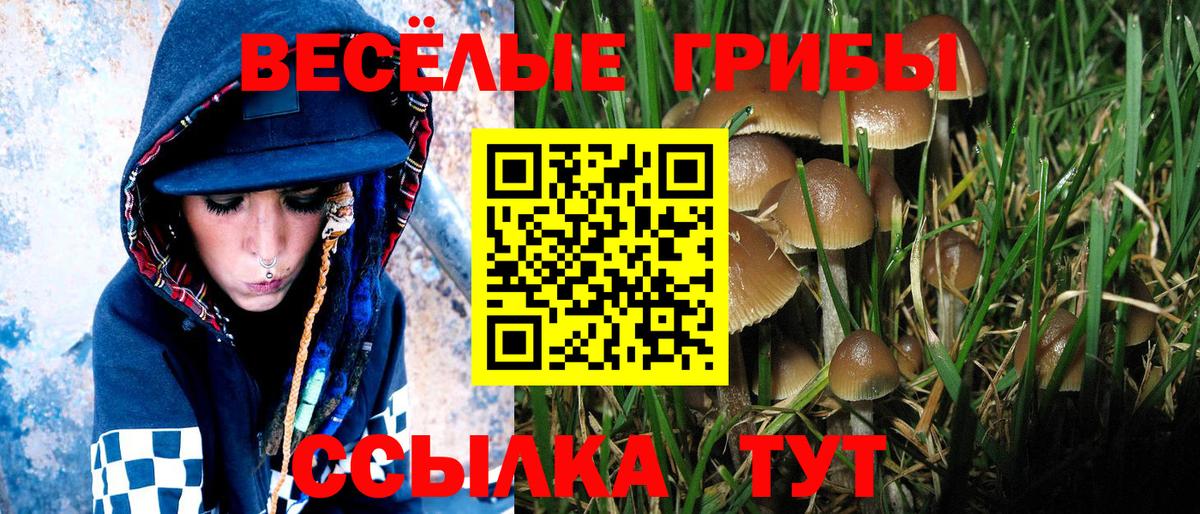 ГАШ  Новоалександровск  Марихуана  Меф МЯУ МЯУ  Меф МЯУ МЯУ   Вход с VPN  Лсд 25  A PVP СОЛЬ   МЕТАМФЕТАМИН 