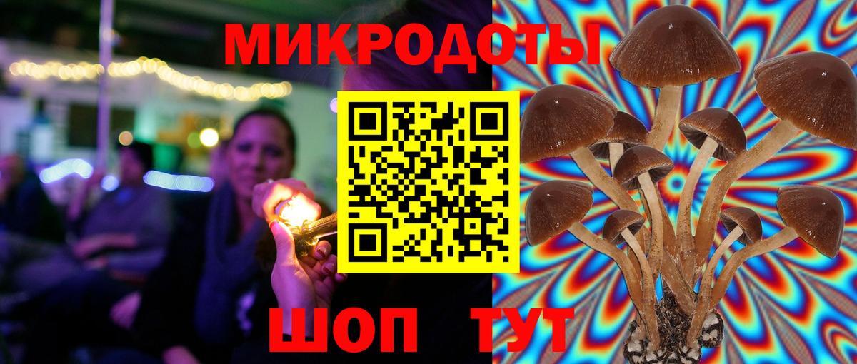 Новоалександровск  Галлюциногенные грибы GOLDEN TEACHER  Вход с VPN 