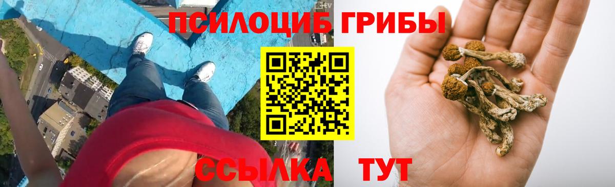 Псилоцибиновые грибы GOLDEN TEACHER Новоалександровск